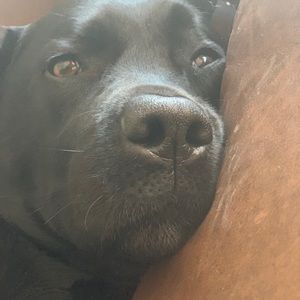 Meet your Posher, Brian